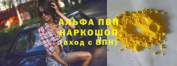 прущие грибы Алзамай
