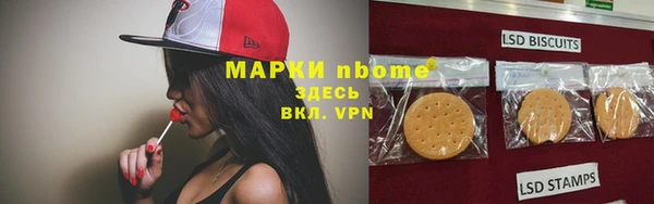 прущие грибы Алзамай