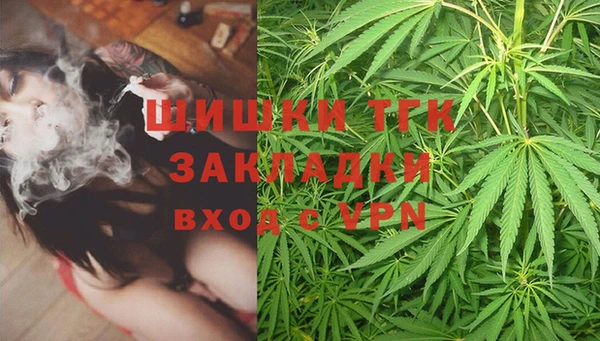 прущие грибы Алзамай