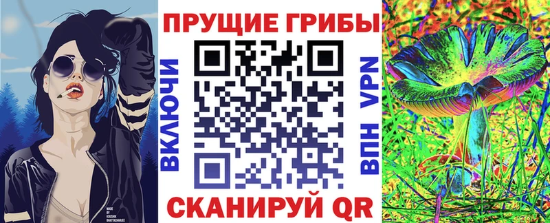 Галлюциногенные грибы Psilocybe  Алексин 
